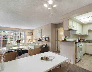 Living Room, Dining Room, and Kitchen