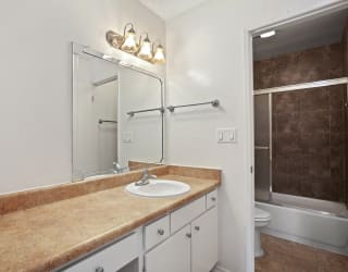 Vanity and Bathroom