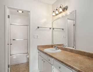 Vanity and Bathroom