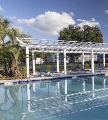 a pergola over a swimming pool