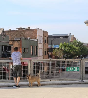 a man and his dog look over a fence on a city street