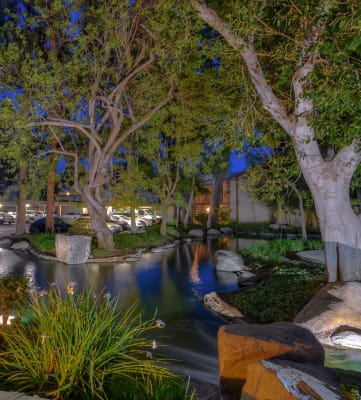 Lake Dianne Apartments landscape at LAKE DIANNE, Santa Ana, California