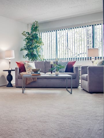 Carpeted living Area at Central Park Manor, Hopkins, MN, 55343