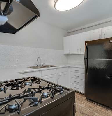 Villas at Vines Apartments Kitchen and Stove