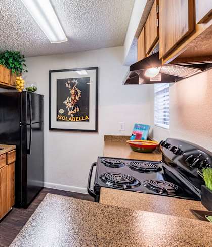 Kitchen at The Hollows Apartments in San Antonio, TX