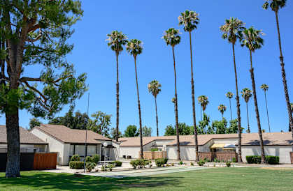 a row of houses with palm trees in the background