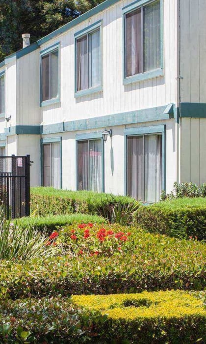 Courtyard Garden Space at Oak Pointe, California