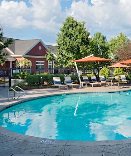 Circular pool with lounge seating, umbrellas and trees surrounding