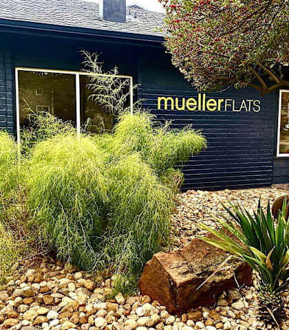 Modern Mueller Apartment 