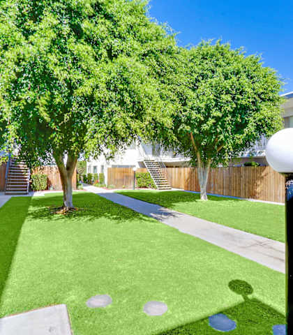 Lush Landscaping courtyard with 2 large trees