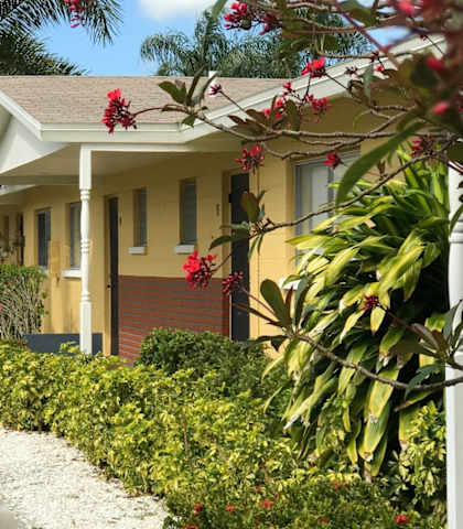 beautiful home exteriors with lush landscaping and neat sidewalks