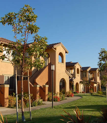 beautiful landscaping