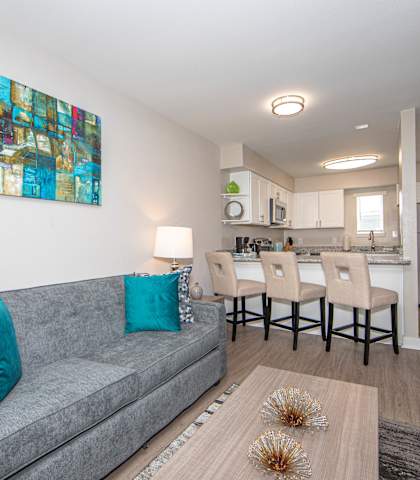 a living room with a gray couch and blue pillows