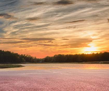 Redbrook Sunset