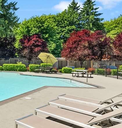 a swimming pool with chairs and umbrellas and trees