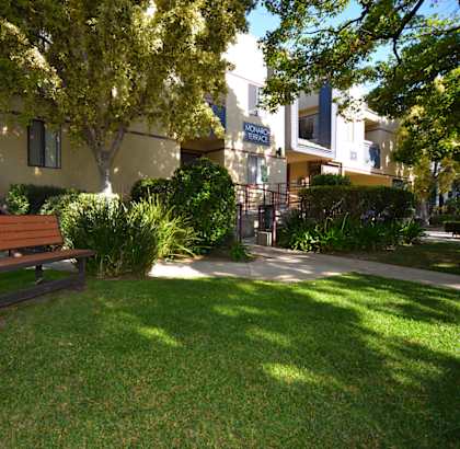 Monarch Terrace exterior building grass lawn