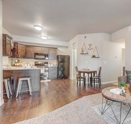 living room and kitchen