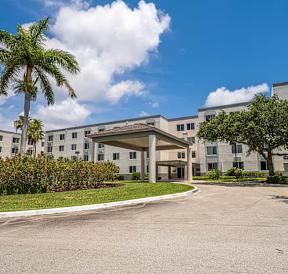 a large white building with a palm tree in front of it