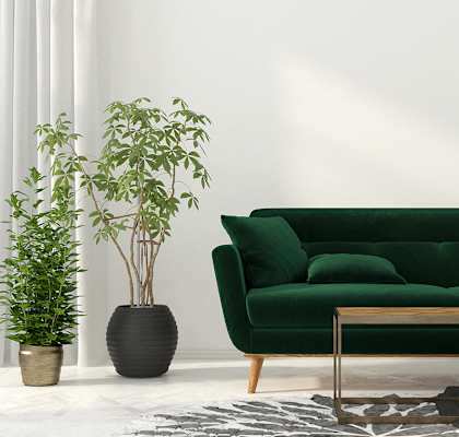 Green Sofa stock image