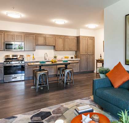 Yolo Apartments fully furnished living room
