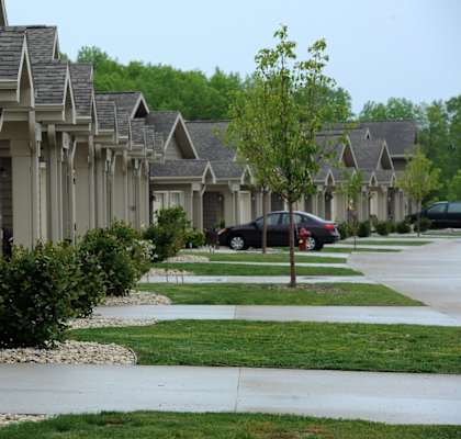 A tree stands in the middle of a row of houses.