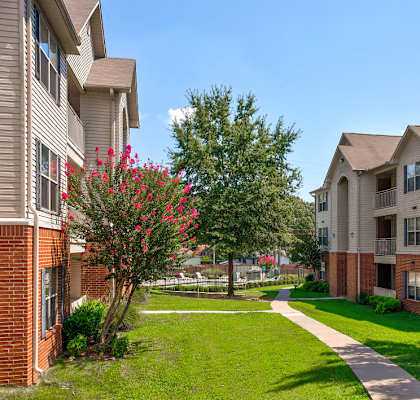 A residential area with apartment buildings and a tree with red flowers.