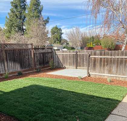 A backyard with a wooden fence and a green lawn.