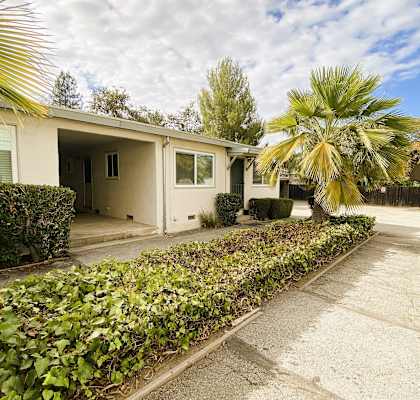 a house with a palm tree in front of it