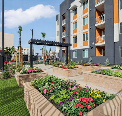 A modern building with a garden in front. at The Orion Senior Apartments - Orange, CA Apartments, California, 92866