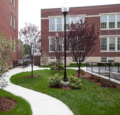 A tree in a flower bed in front of a brick building.