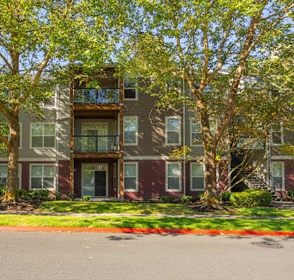 A tree with green leaves is in front of a building.