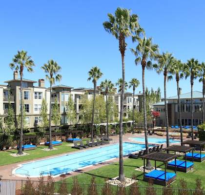 Swimming pool and exterior view of building at The Enclave CA, San Jose, 95134