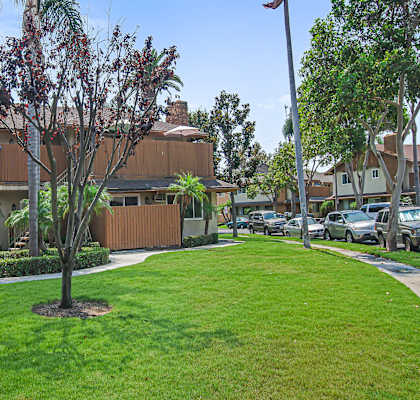 Green Space at Kenyon Pointe, California, 92780