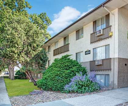 The exterior of the apartments and the green space with a walkway, grass, trees, and shrubs at Hyde Park North Apartments. 