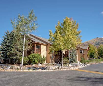 a house on the side of a road with trees