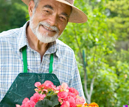 Deedco Gardens Apartments in Homestead, FL gardening image