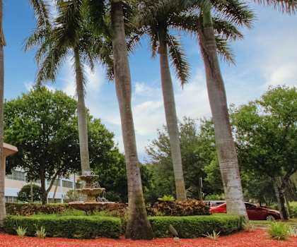 Drive up covered entrance to Villa Madonna with lush landscaping