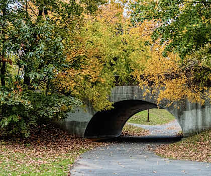 a bridge over a path in a park with trees