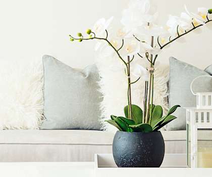 Home Page Stock Photo of Living Room