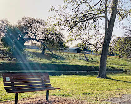 Bench at Park at Eagle View Apartments, Texas, 78064