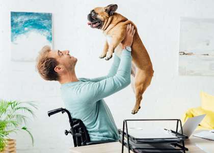 Maplewood Villas Apartments Pet Friendly Community