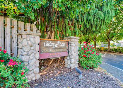 Chelsey Lane Sign