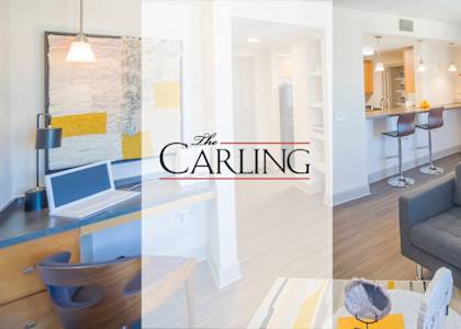 The Carling Apartments | Jacksonville, FL