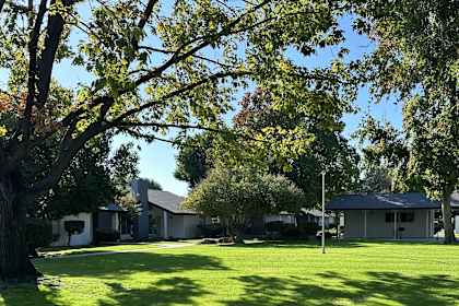 a group of houses in a field with trees