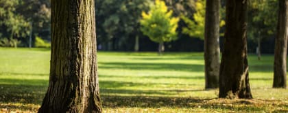 Park