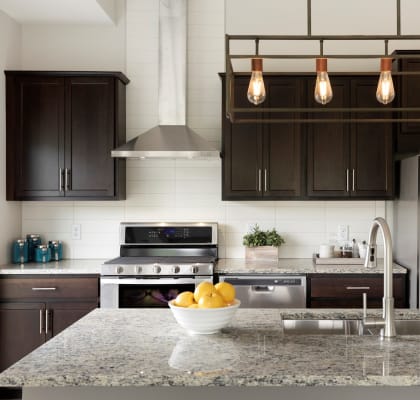 Modern Robbinsdale Apartment Homes for Rent Birdtown Flats