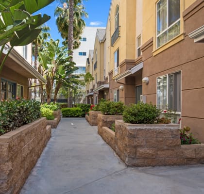 Carlton Court / Metro Hollywood Apartments Apartments in Los Angeles CA