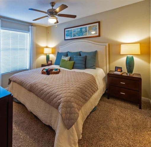 Picture of 1 & 2-Bedroom Apartments in League City, TX | Photo Gallery