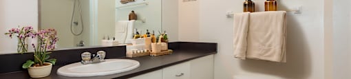 a bathroom with a sink and a toilet and a mirror