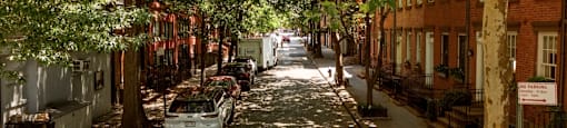 A tree-lined street with cars parked on the side.